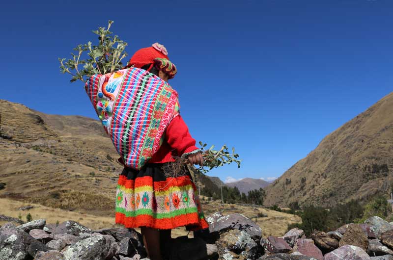 Tourism & Ecotourism in Peru 