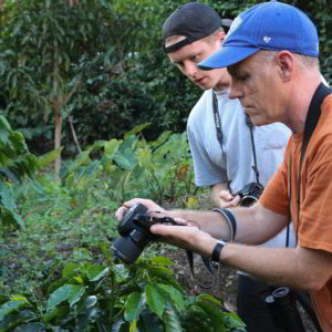 Irresistible Chocolate, Machu Picchu Tour, Coffe Tour