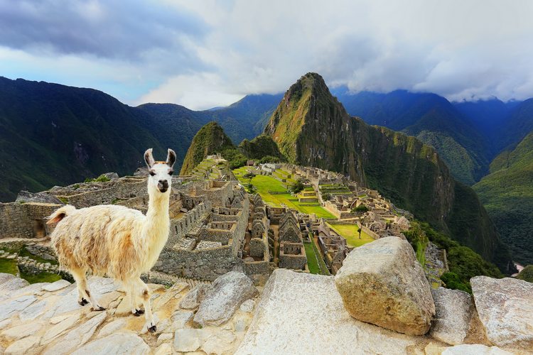 Machu Picchu family Peru Trip