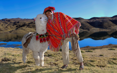 10 Reasons to Stay With A Homestay Family in Cusco, Peru